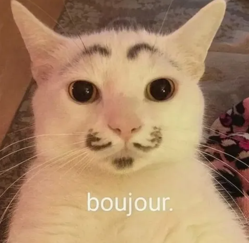 boujour.