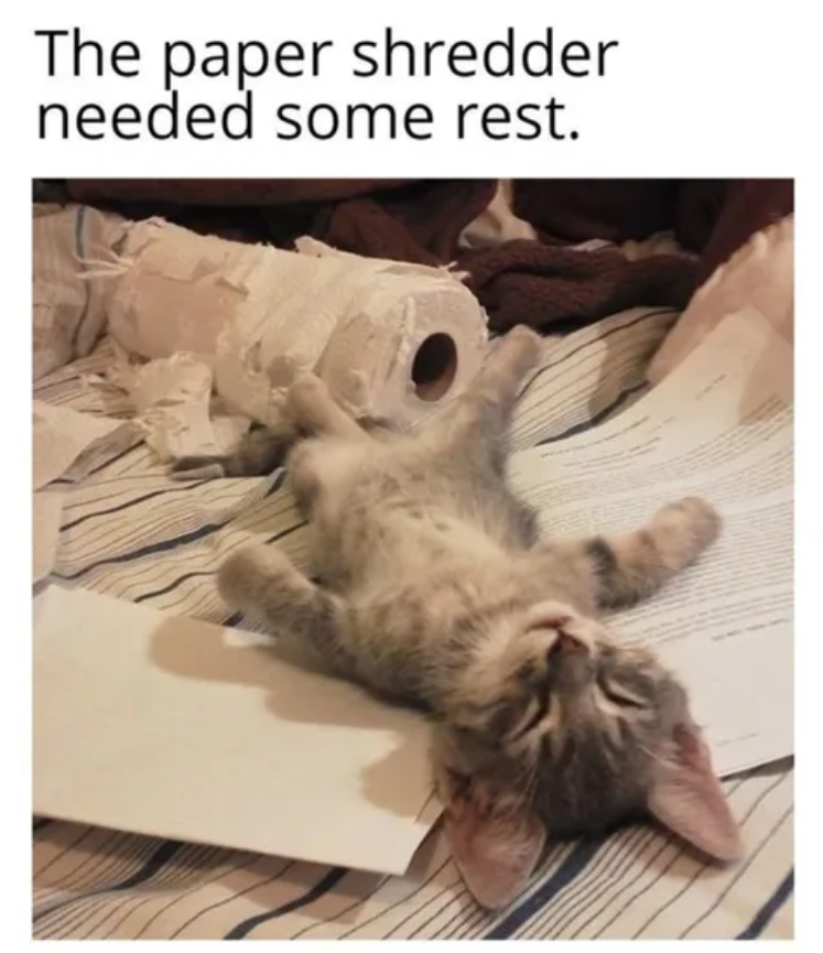 The paper shredder needed some rest.