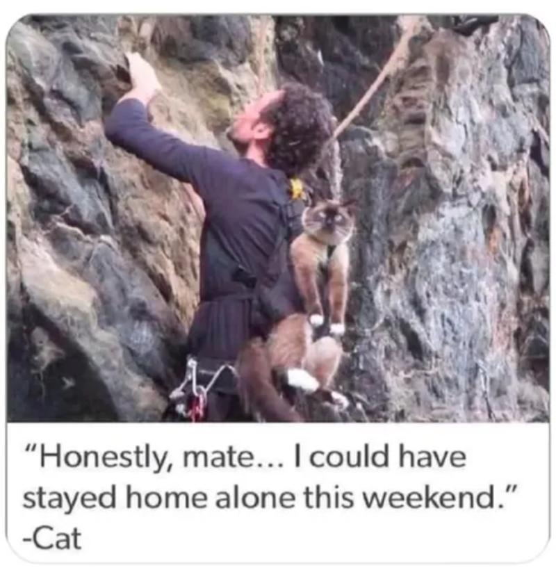 "Honestly, mate... I could have stayed home alone this weekend." -Cat