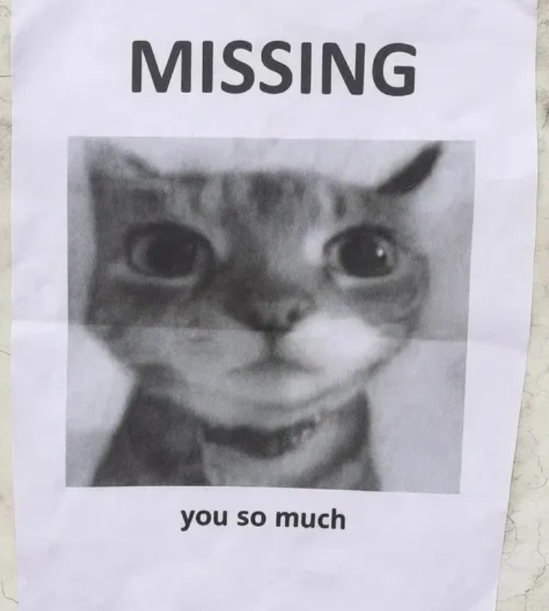 MISSING you so much