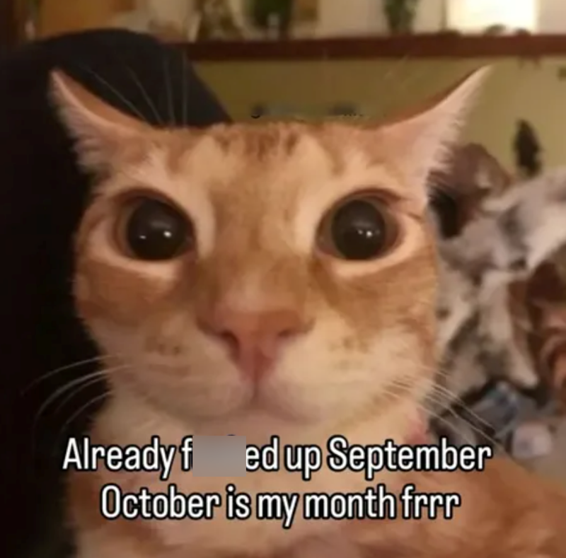Already fed up September October is my month frrr
