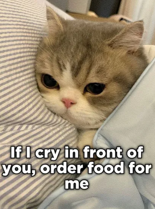 If I cry in front of you, order food for me