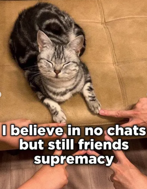 I believe in no chats but still friends supremacy