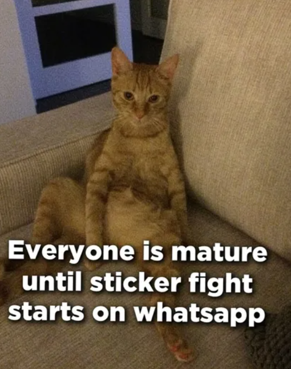Everyone is mature until sticker fight starts on whatsapp