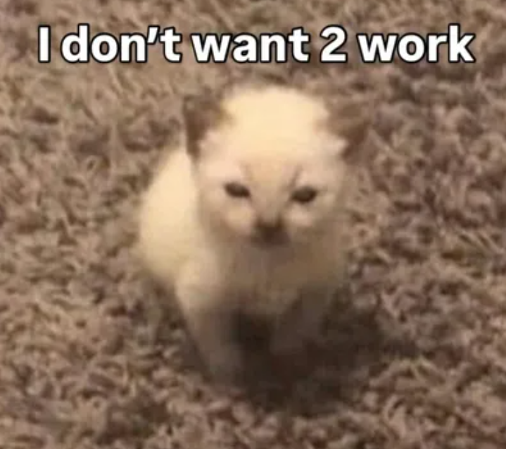 I don't want 2 work