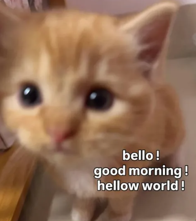 bello! good morning! hellow world!