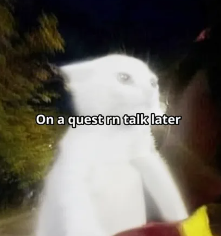 On a quest rn talk later
