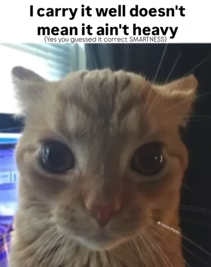 I carry it well doesn't mean it ain't heavy (Yes you guessed it correct SMARTNESS) catsstuffdaily