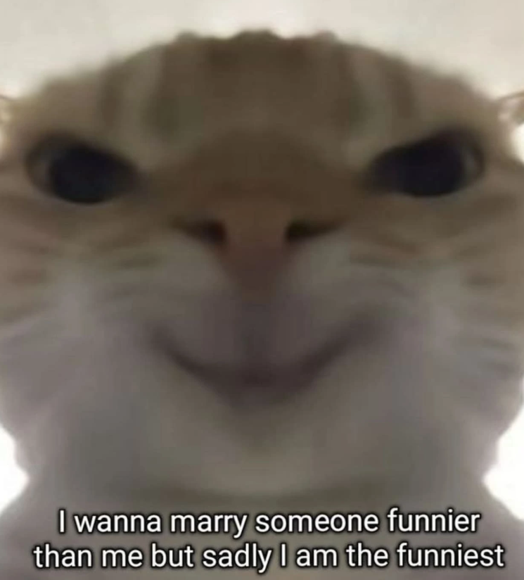 I wanna marry someone funnier than me but sadly I am the funniest