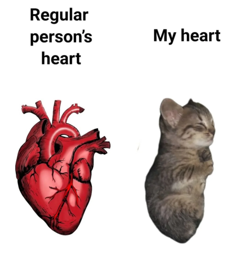 Regular person's My heart heart