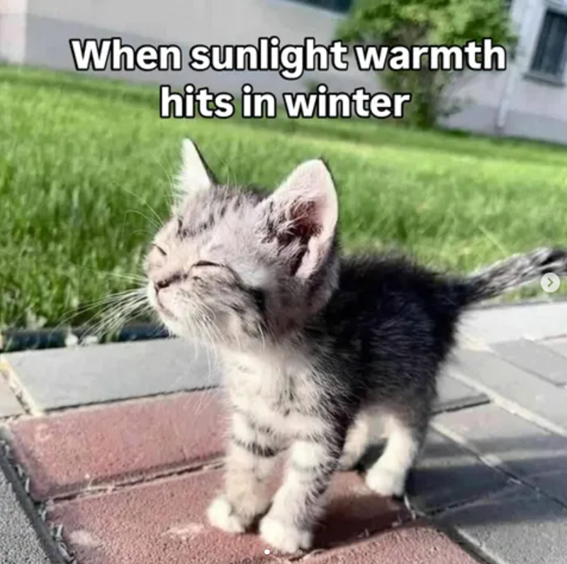 When sunlight warmth hits in winter