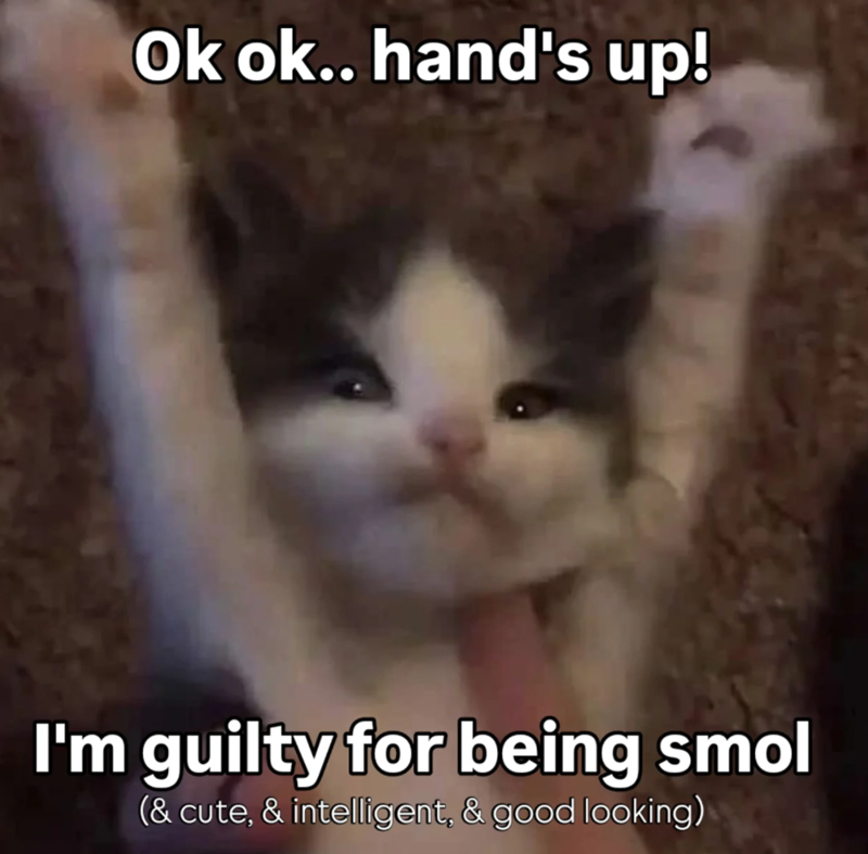 Ok ok.. hand's up! I'm guilty for being smol (& cute, & intelligent, & good looking)