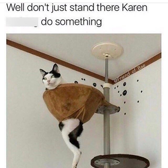 Well don't just stand there Karen do something @Friend of Bae