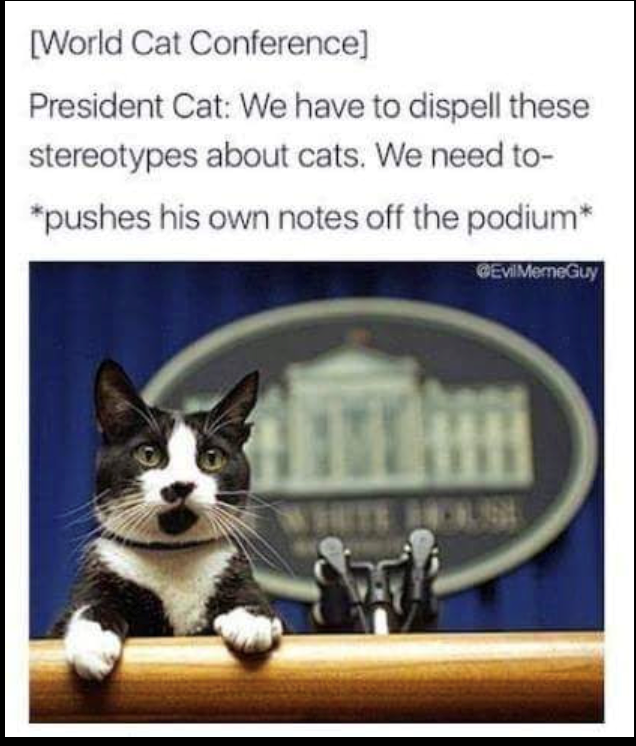 [World Cat Conference] President Cat: We have to dispell these stereotypes about cats. We need to- *pushes his own notes off the podium* @Evil MemeGuy