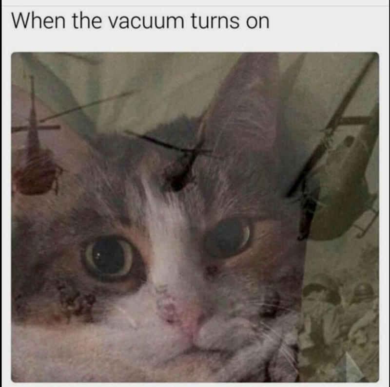 When the vacuum turns on