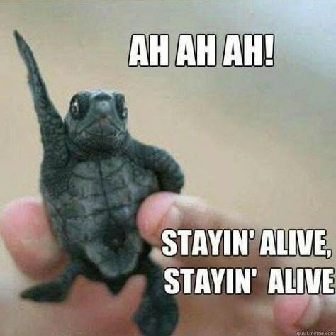 AH AH AH! STAYIN' ALIVE. STAYIN' ALIVE quickmeme.com