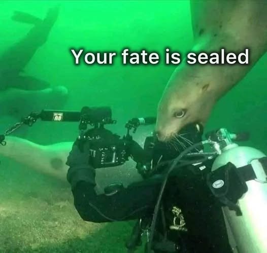 Your fate is sealed