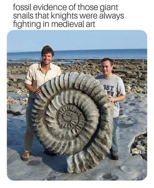 fossil evidence of those giant snails that knights were always fighting in medieval art 1ST
