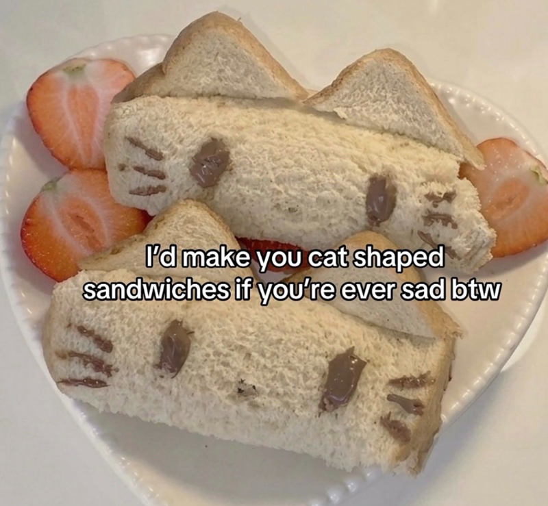 I'd make you cat shaped sandwiches if you're ever sad btw
