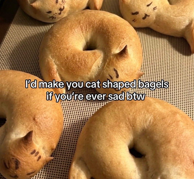 I'd make you cat shaped bagels if you're ever sad btw