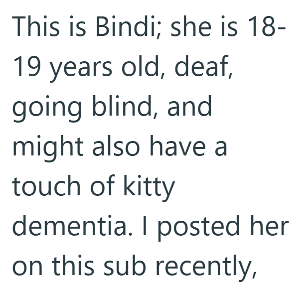 This is Bindi; she is 18- 19 years old, deaf, going blind, and might also have a touch of kitty dementia. I posted her on this sub recently,