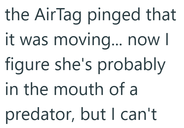 the AirTag pinged that it was moving... now I figure she's probably in the mouth of a predator, but I can't