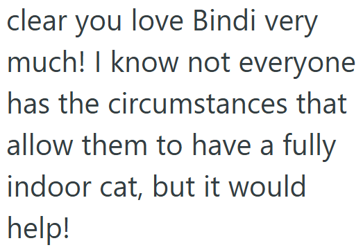clear you love Bindi very much! I know not everyone has the circumstances that allow them to have a fully indoor cat, but it would help!