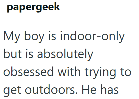 papergeek My boy is indoor-only but is absolutely obsessed with trying to get outdoors. He has