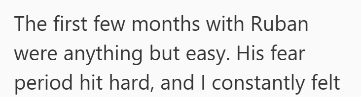 The first few months with Ruban were anything but easy. His fear period hit hard, and I constantly felt