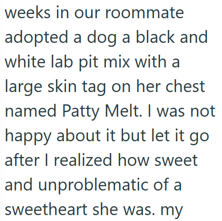 weeks in our roommate adopted a dog a black and white lab pit mix with a large skin tag on her chest named Patty Melt. I was not happy about it but let it go after I realized how sweet and unproblematic of a sweetheart she was. my