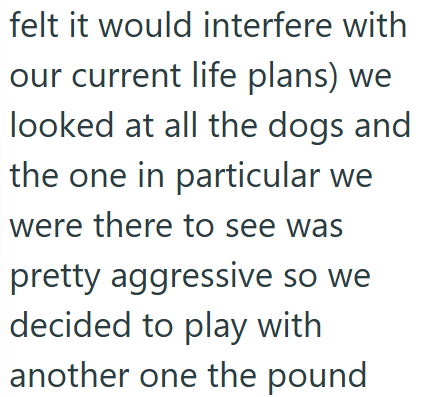 felt it would interfere with our current life plans) we looked at all the dogs and the one in particular we were there to see was pretty aggressive so we decided to play with another one the pound