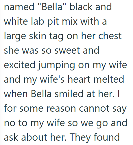 named "Bella" black and white lab pit mix with a large skin tag on her chest she was so sweet and excited jumping on my wife and my wife's heart melted when Bella smiled at her. I for some reason cannot say no to my wife so we go and ask about her. They found