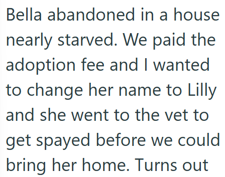Bella abandoned in a house nearly starved. We paid the adoption fee and I wanted to change her name to Lilly and she went to the vet to get spayed before we could bring her home. Turns out
