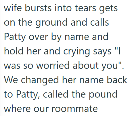 wife bursts into tears gets on the ground and calls Patty over by name and hold her and crying says "I was so worried about you". We changed her name back to Patty, called the pound where our roommate