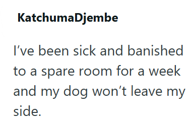KatchumaDjembe I've been sick and banished to a spare room for a week and my dog won't leave my side.