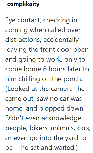 complikaity Eye contact, checking in, coming when called over distractions, accidentally leaving the front door open and going to work, only to come home 8 hours later to him chilling on the porch. (Looked at the camera- he came out, saw no car was home, and plopped down. Didn't even acknowledge people, bikers, animals, cars, or even go into the yard to pe - he sat and waited.)