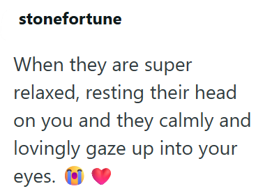 stonefortune When they are super relaxed, resting their head on you and they calmly and lovingly gaze up into your eyes.