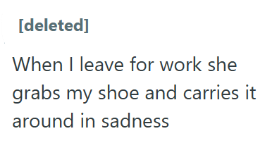 [deleted] When I leave for work she grabs my shoe and carries it around in sadness