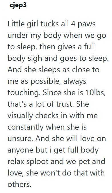 cjep3 Little girl tucks all 4 paws under my body when we go to sleep, then gives a full body sigh and goes to sleep. And she sleeps as close to me as possible, always touching. Since she is 10lbs, that's a lot of trust. She visually checks in with me constantly when she is unsure. And she will love on anyone but i get full body relax sploot and we pet and love, she won't do that with others.