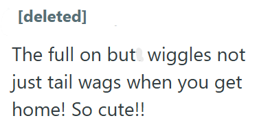 [deleted] The full on but wiggles not just tail wags when you get home! So cute!!