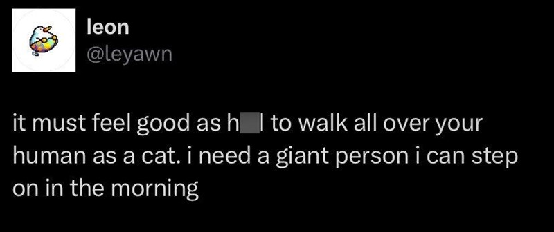 leon @leyawn it must feel good as h I to walk all over your human as a cat. i need a giant person i can step on in the morning