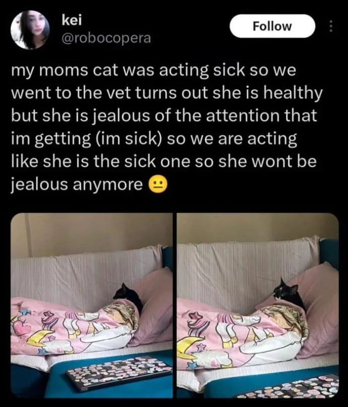 kei Follow @robocopera my moms cat was acting sick so we went to the vet turns out she is healthy but she is jealous of the attention that im getting (im sick) so we are acting like she is the sick one so she wont be jealous anymore →