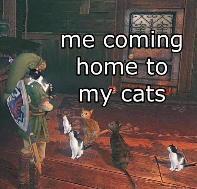 me coming home to my cats