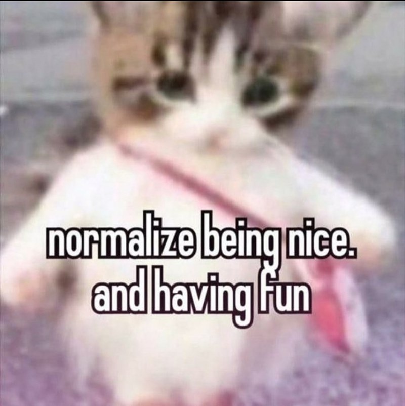 normalize being nice. and having fun