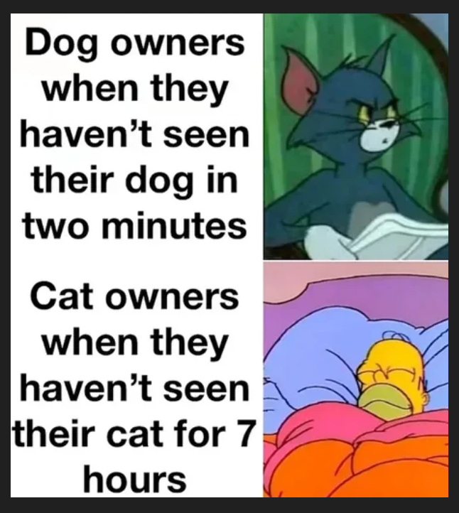 Dog owners when they haven't seen their dog in two minutes Cat owners when they haven't seen their cat for 7 hours