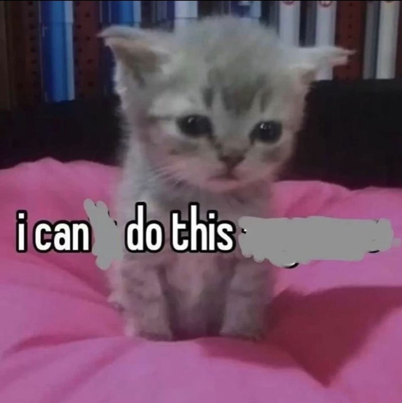 i can do this