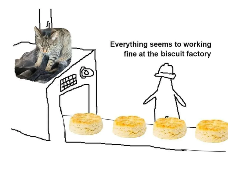 Everything seems to working fine at the biscuit factory