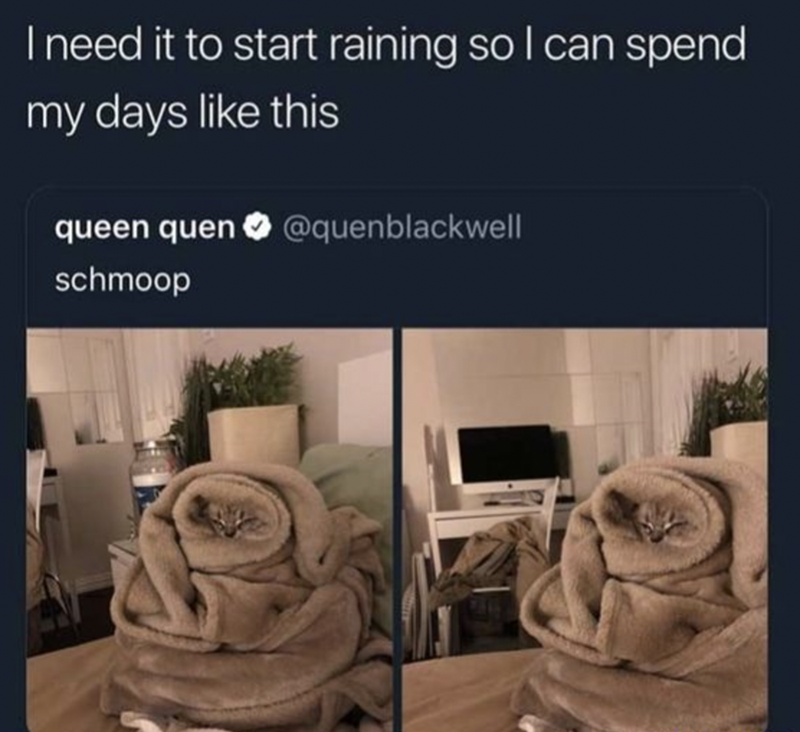 I need it to start raining so I can spend my days like this queen quen @quenblackwell schmoop