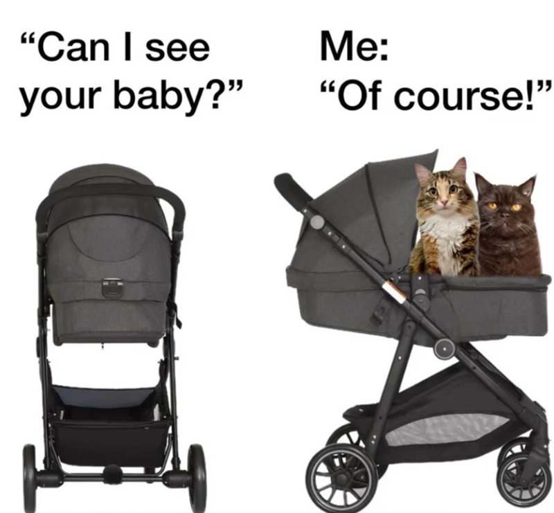 "Can I see your baby?" Me: "Of course!"