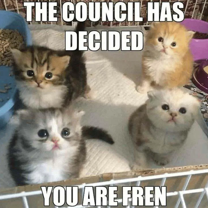 THE COUNCIL HAS DECIDED YOU ARE FREN